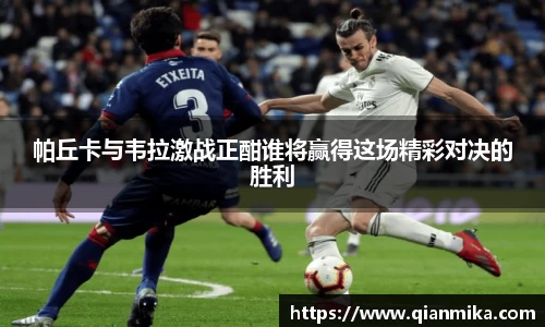 必一运动b-sports官网