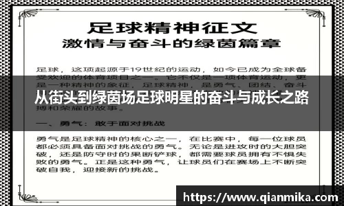 必一运动b-sports官网